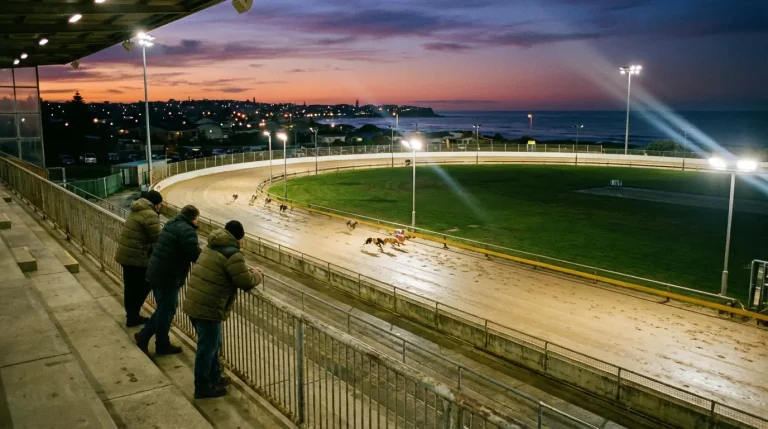 Hove greyhound stadium track guide and betting tips